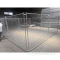 canile per cani da recinto di ferro grande all'aperto all'ingrosso